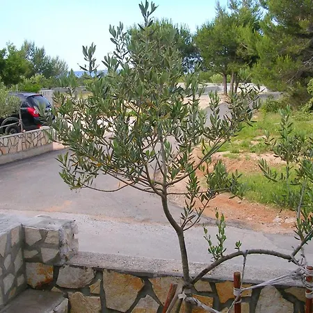 - Pedinka 294h
